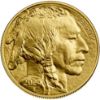 2024 American Gold Buffalo Gold Bullion Coin Obverse
